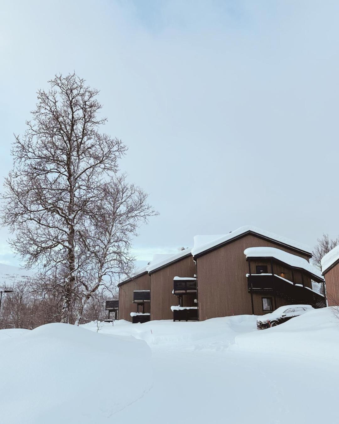 Skaidi Luxury Lodge - Heart Of The Arctic Hammerfest Dış mekan fotoğraf